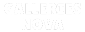 galleriesnova.com
